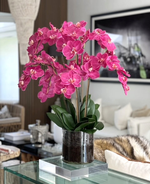 Blooming Orchid in Vase, Pink