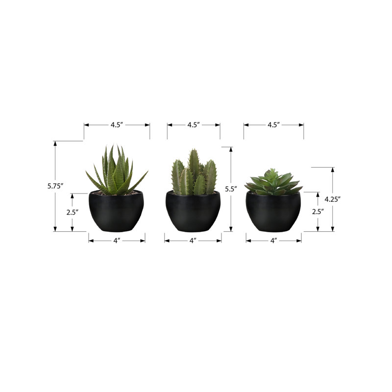 Plante artificielle, Noir