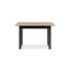 Alduina Extendable Dining Table-230812693