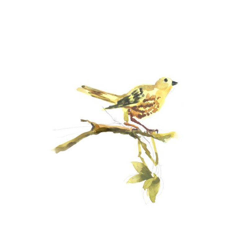 Yellow Warbler Painting by Fern Cassidy, Knife Gel, 46" H x 36" W x 1.5" D
