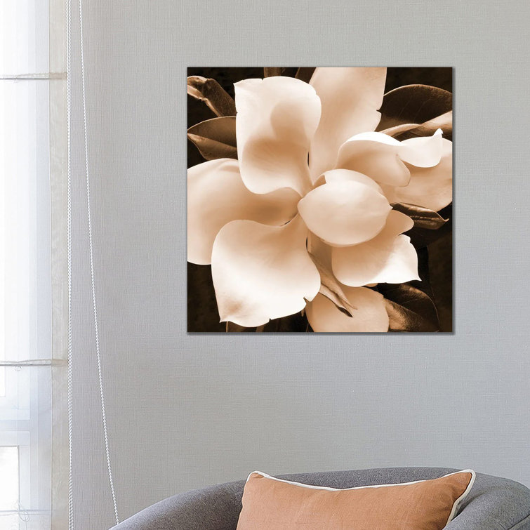 Sepia Magnolia II by Christine Zalewski - Wrapped Canvas Print