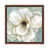 Brown Framed is unavailable