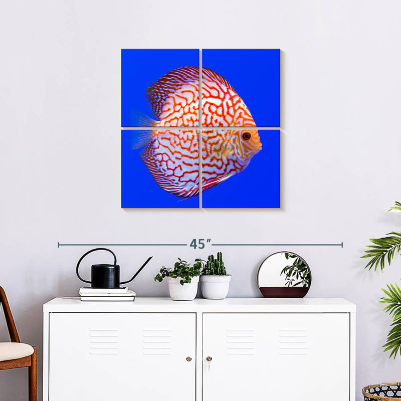 Brampt Exotic Discus Fish, 38" H x 38" W