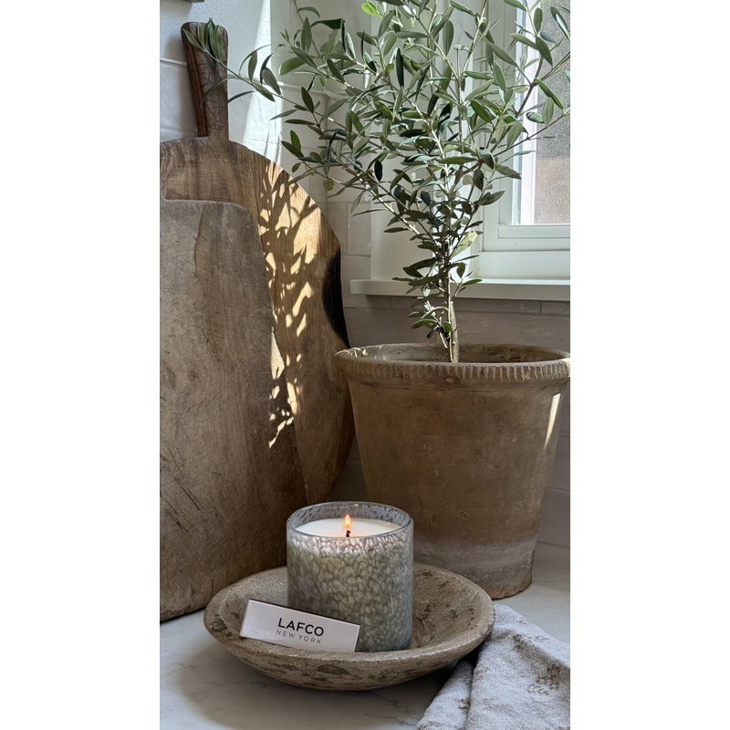 Paradiso Fig Classic Candle