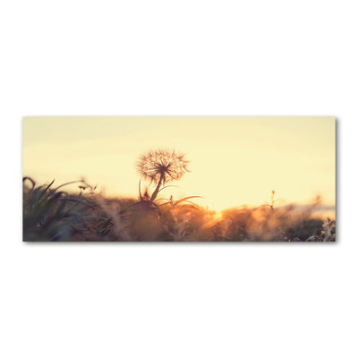 Dandelion - Wrapped Canvas Print