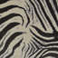 Zebrana Fabric-53164264