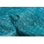 Tapis vert lime couleur transition 3 pi 7 po x 4 pi 0 po-973035600-973035607
