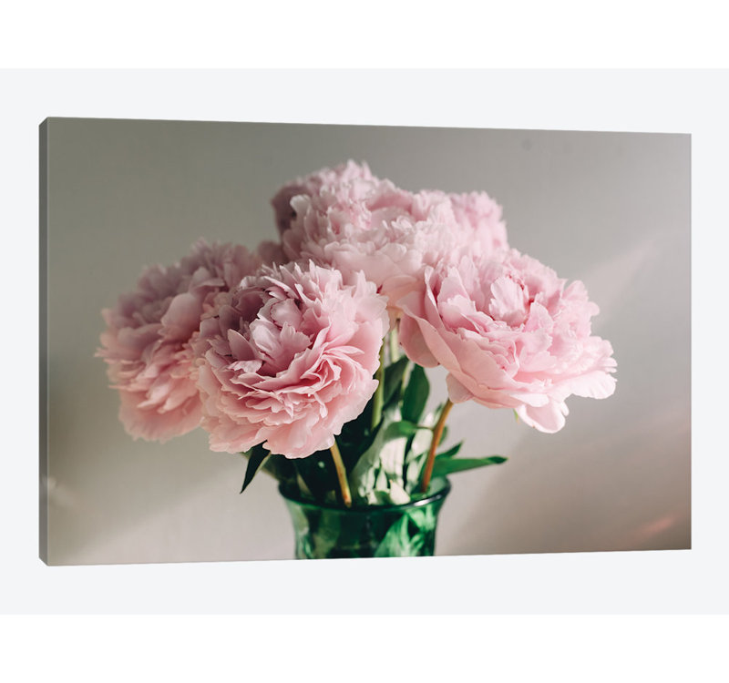 « rose pivoines on white i » sur toile, Papier d'art encadré noir, Blanc, H 24 po x l 32 po x P 1 po