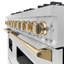 ZLINE Autograph 48" Classic Double Oven Dual Fuel Range w/ Champagne Bronze Accents-813394995-832285124