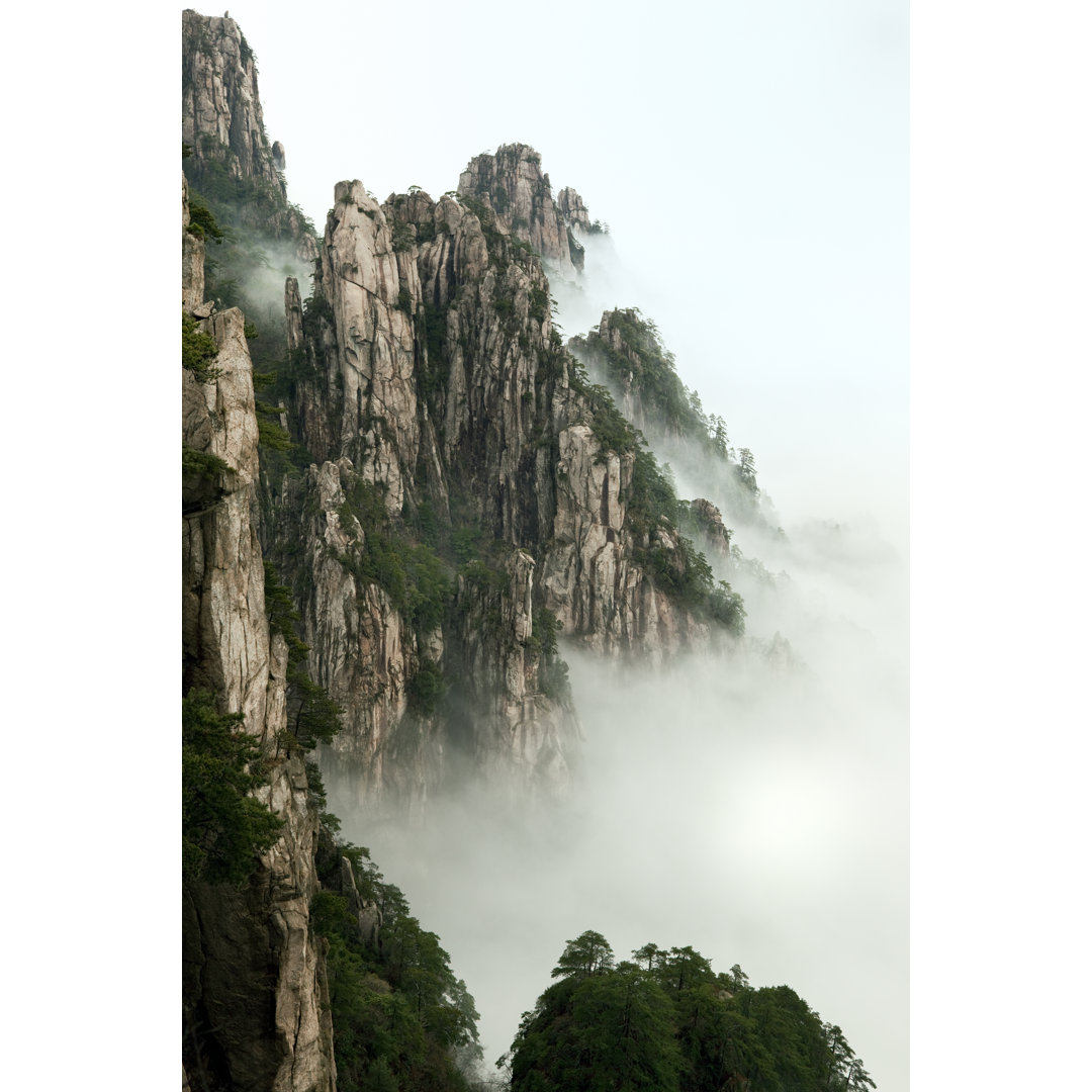 Schönheit in der Natur von KingWu - Kunstdrucke auf Leinwand ohne Rahmen