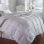 Cascada All Season Down Comforter-1205419427