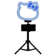 Davaughn 10 Inch RGB Desk Ring Light with Stand and Phone Holder LED Selfie Light with Rainbow Color