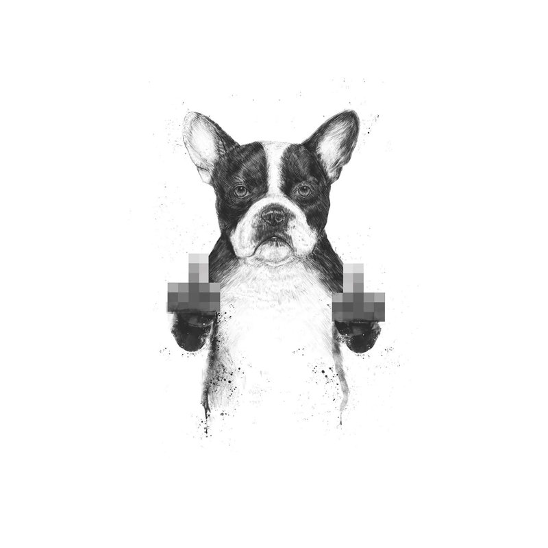 Censored Dog by Balazs Solti - Print on Canvas, Wrapped Canvas, 66.04cm H x 45.72cm W x 1.91cm D