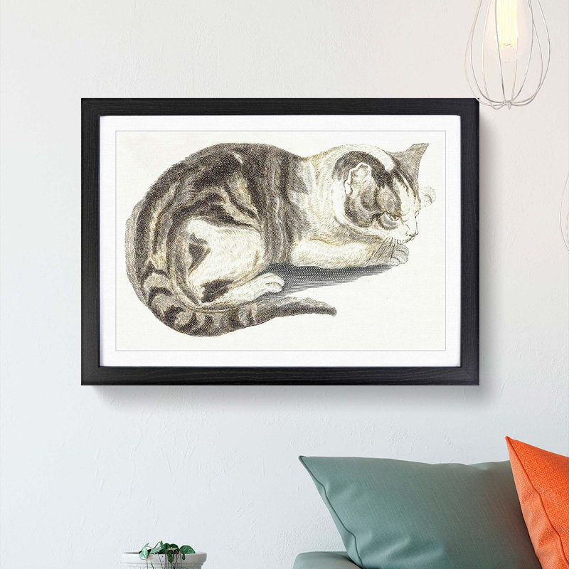Cat by Johan Teyler - Picture Frame Painting Print, Black Framed, 36cm H x 48cm W x 2cm D