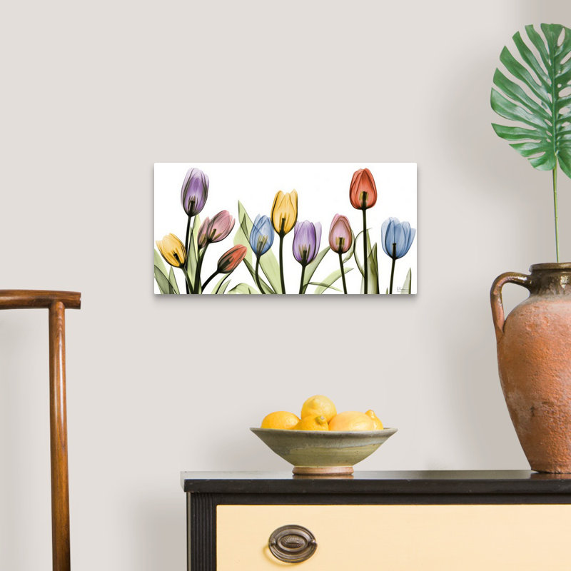 Tulipe - imprimé, H 10 po x l 20 po x P 10,5 po, Toile