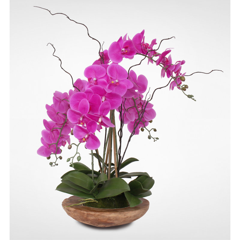 Real Touch Phalaenopsis Silk Orchid with Curly Willow and Succulents in Teak Wood Bowl