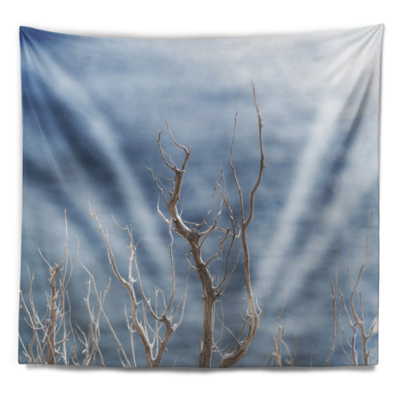 Tapisserie de branches d’hiver sans feuille en polyester avec accessoires suspendus inclus, H 68 po x l 80 po