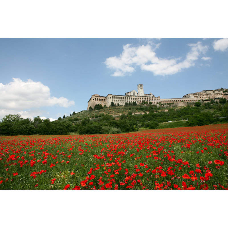 Milnor Assisi by CaraMaria - Wrapped Canvas Print, 30cm H x 46cm W x 3.8cm D