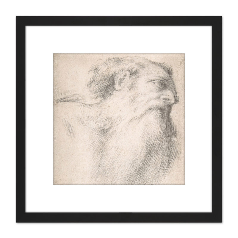 Lotto Head Of A Bearded Man Drawing - Single Picture Frame Print