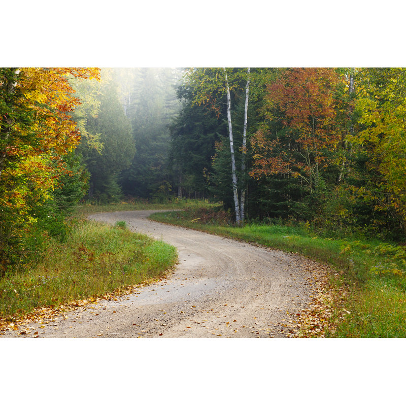 Fall Country Road - Photographie sur toile tendue, L 36 po x H 24 po