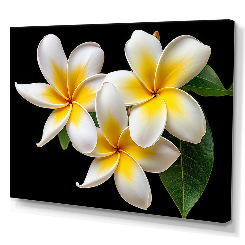 «Dreamscape Plumerias P pureté» sur toile, H 24 po x l 32 po x P 1 po, Toile tendue