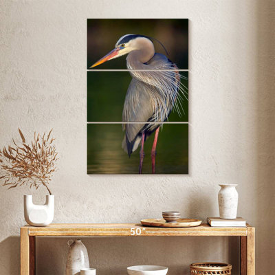 Brampt Wild Great Blue Heron I