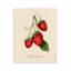 Portrait de fraise, plaque murale, conception par Danielle Murray