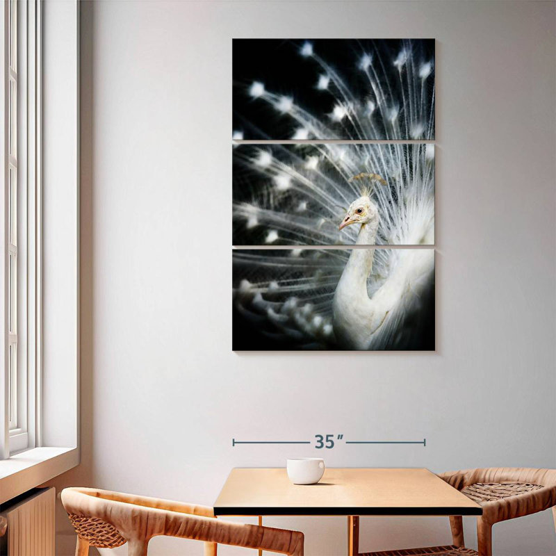 Rare White Peacock, 65" H x 42" W