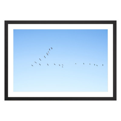 Flying V by Amanda Anderson