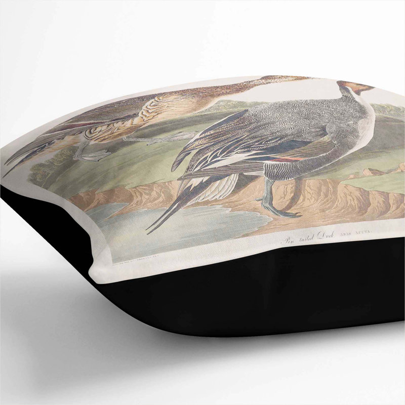 Square Cushion, 55cm H x 55cm W x 20cm D, Black