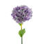 Ensemble de 6 hortensias avec feuilles Almost Real-85964248