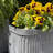 3 Piece Randolph Rectangular Planters, 21.5"
