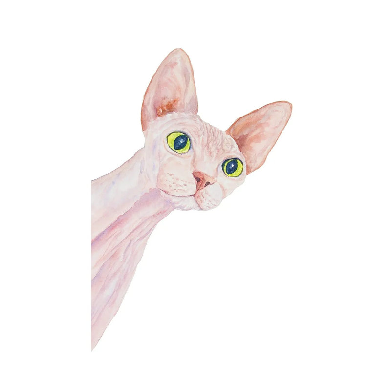 Funny Sphinx Cat by Alexey Dmitrievich Shmyrov - Wrapped Canvas Print, 20.32 cm H x 30.48 cm W