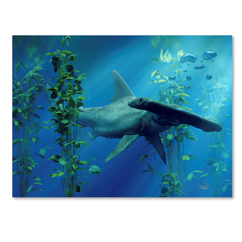 Lethe «Hammerhead», reproduction d'impression sur toile tendue, H 24 po x l 32 po