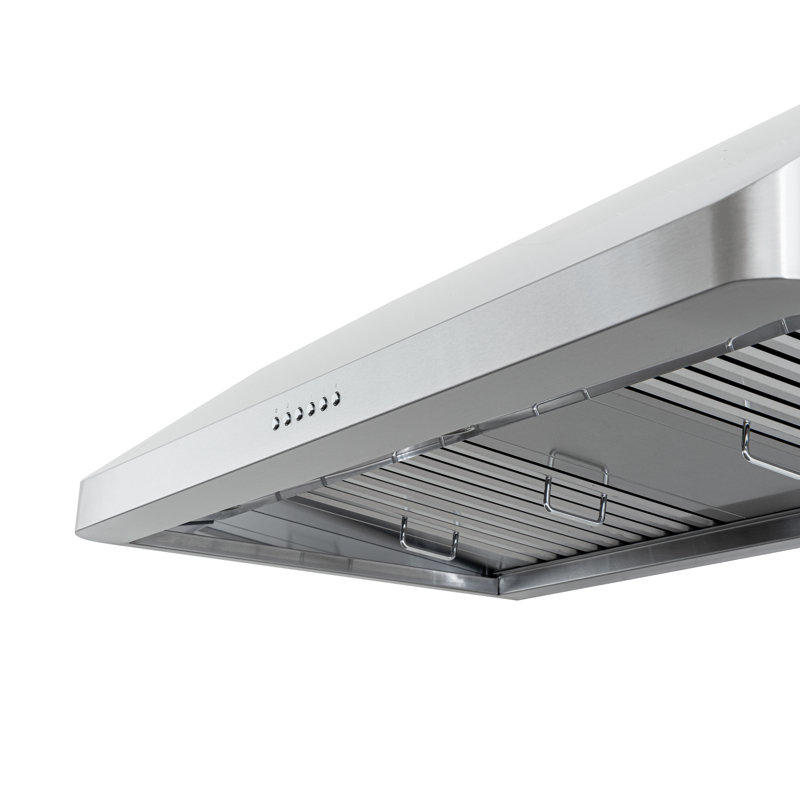 Hotte murale professionnelle PROLINE 42 pouces PROLINE, 900 CFM, acier inoxydable, L, 41.75''