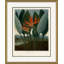 Botanicals 6 Framed