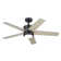 Bhram 48'' Ceiling Fan with LED Lights