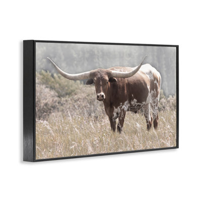 Texas Longhorn, photographie giclée, design par Carol Robinson