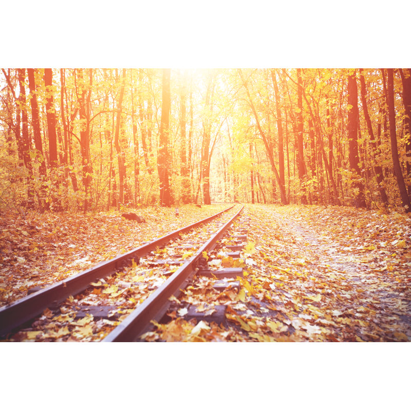Autumn Railroad - Wrapped Canvas Print, 30cm H x 46cm W x 3.8cm D