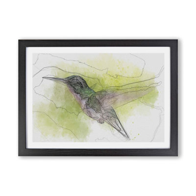 'Hummingbird in Costa Rica' - Picture Frame Painting Print on Paper