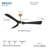 Bridge 60" Led Smart Ceiling Fan-116794763-116794765