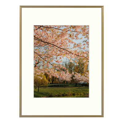 Picture Frame Classic Metal Frames - Basics by Wayfair™