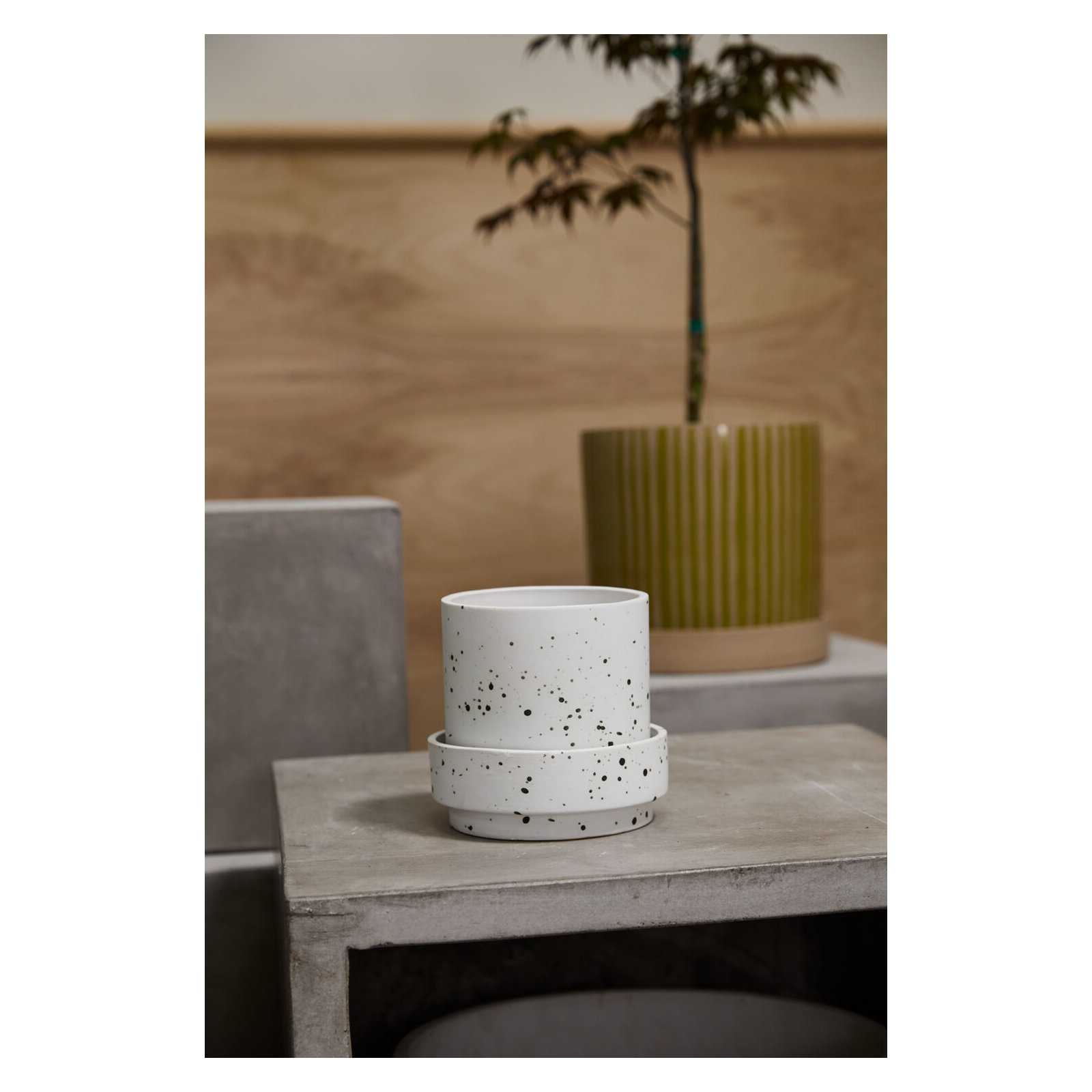 Bridgeway Pot with Saucer, 6" H x 6.25" W x 6.25" D