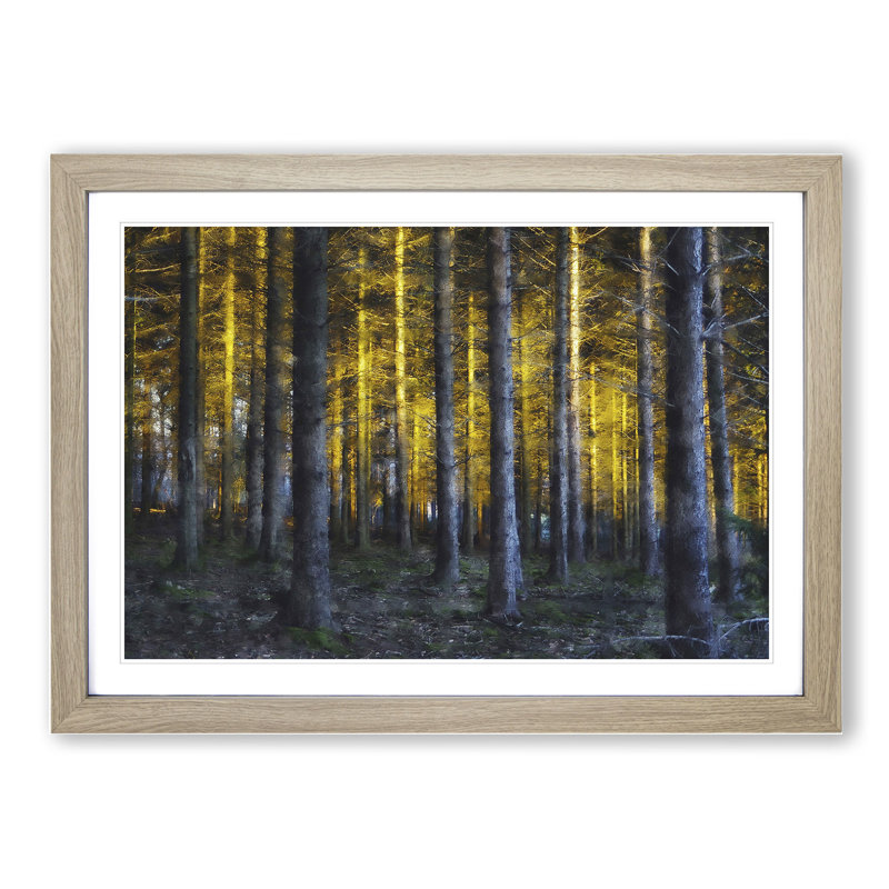Sunlight Forest Vol.4 - Picture Frame Painting, 48cm H x 65cm W x 2cm D, Oak Framed