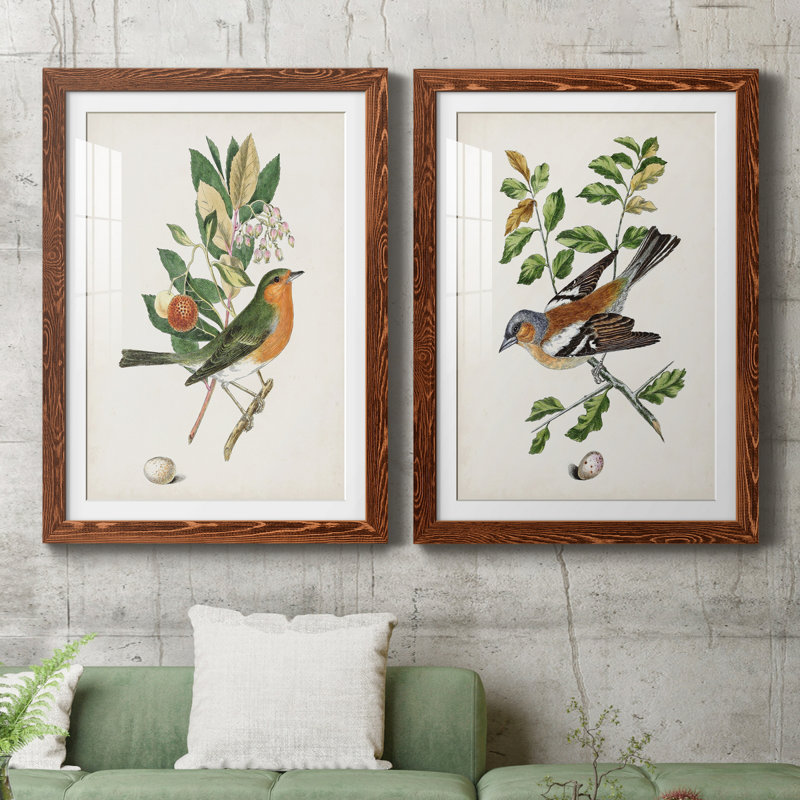 Oiseau antique, botanique et œuf I - ensemble de 2 reproductions d'art sur papier encadré, H 43,5 po x l 31,5 po x P 1 po
