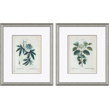 Passion Flower & Flowering Dogwood Giclee Print by Paul Cezanne