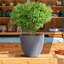 Concrete Effect Round Planter, Frostproof Outdoor Plant Pot with Hammered Pattern, Round Garden Planter with Drainage Holes-93635379