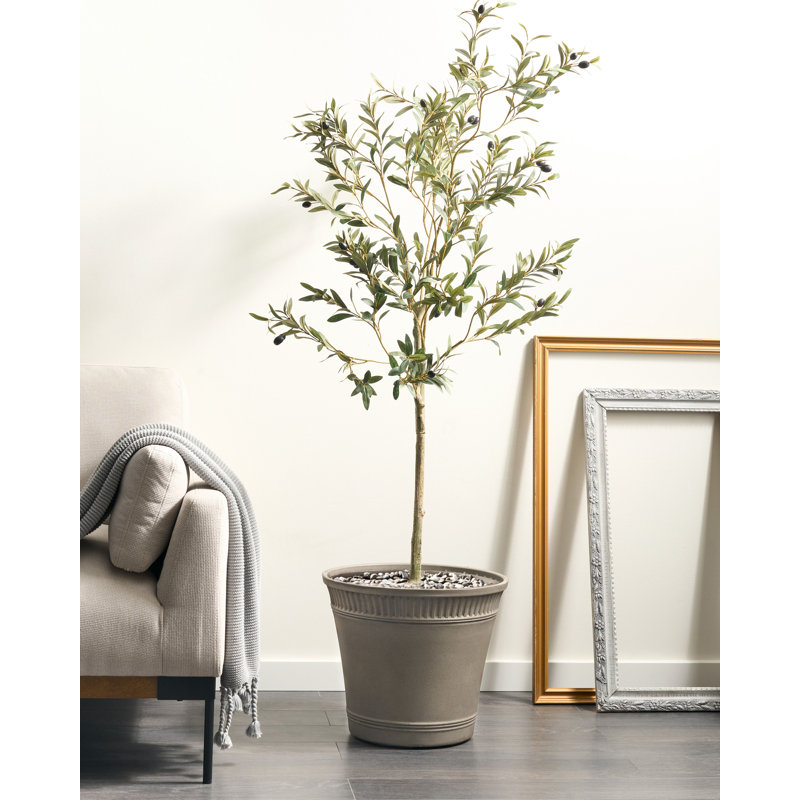 CISTUS Pot Planter