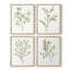 «Simple Sprig I», ensemble de 4 reproductions encadrées-1123619966-1123619965