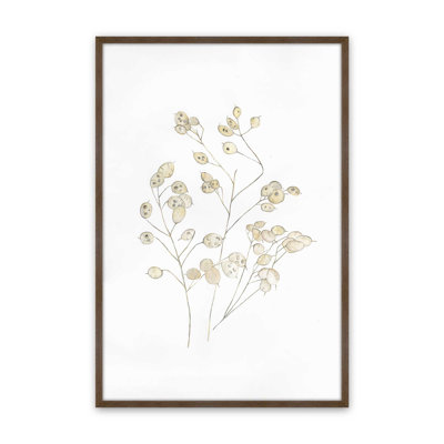 Reproduction d'art «Lunaria in Stillness» par Dollybirds